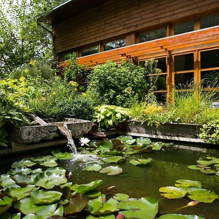 Le Clos Chedeville Chartres Zewnętrze zdjęcie